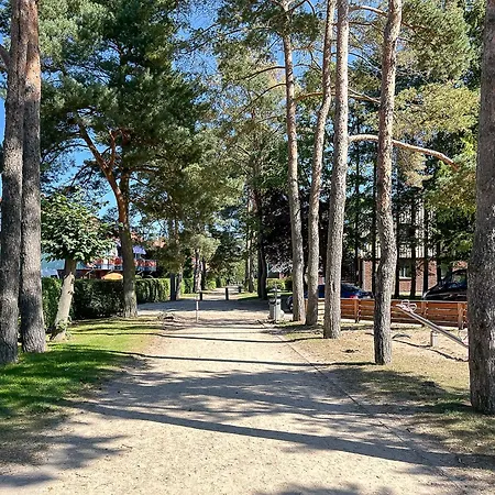 Papillon 10-6 Διαμέρισμα